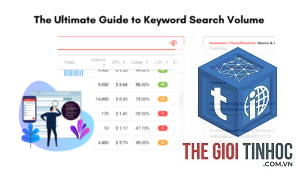 keyword search volume