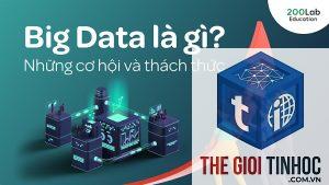 lab data là gì
