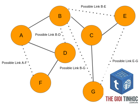link graph là gì - Hình 5
