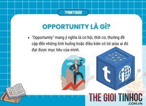 link opportunity là gì