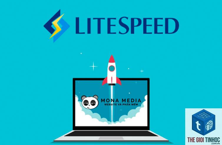 litespeed là gì - Hình 5