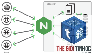 nginx là gì