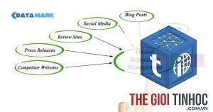 online reputation management là gì