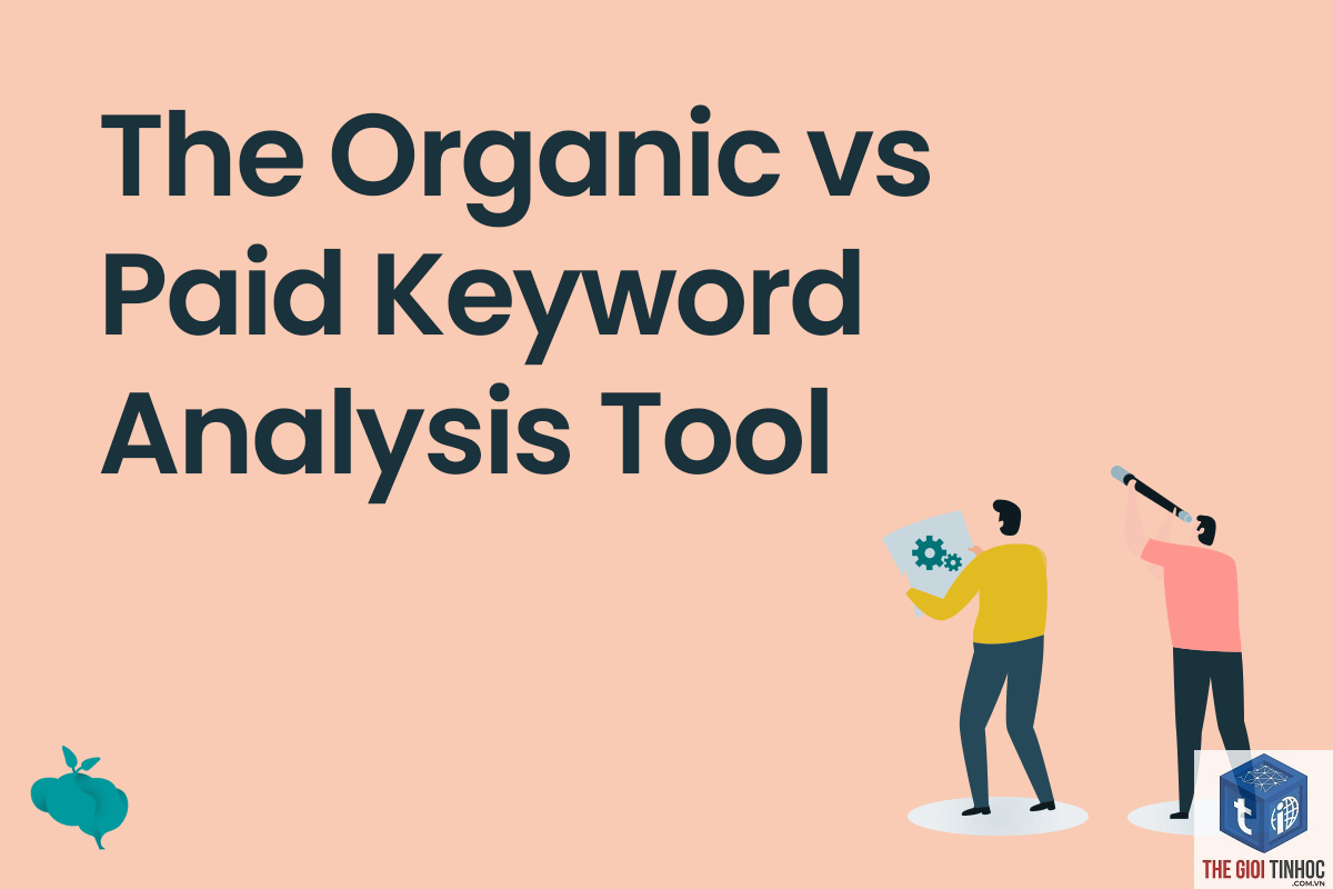 paid keyword - Image 4