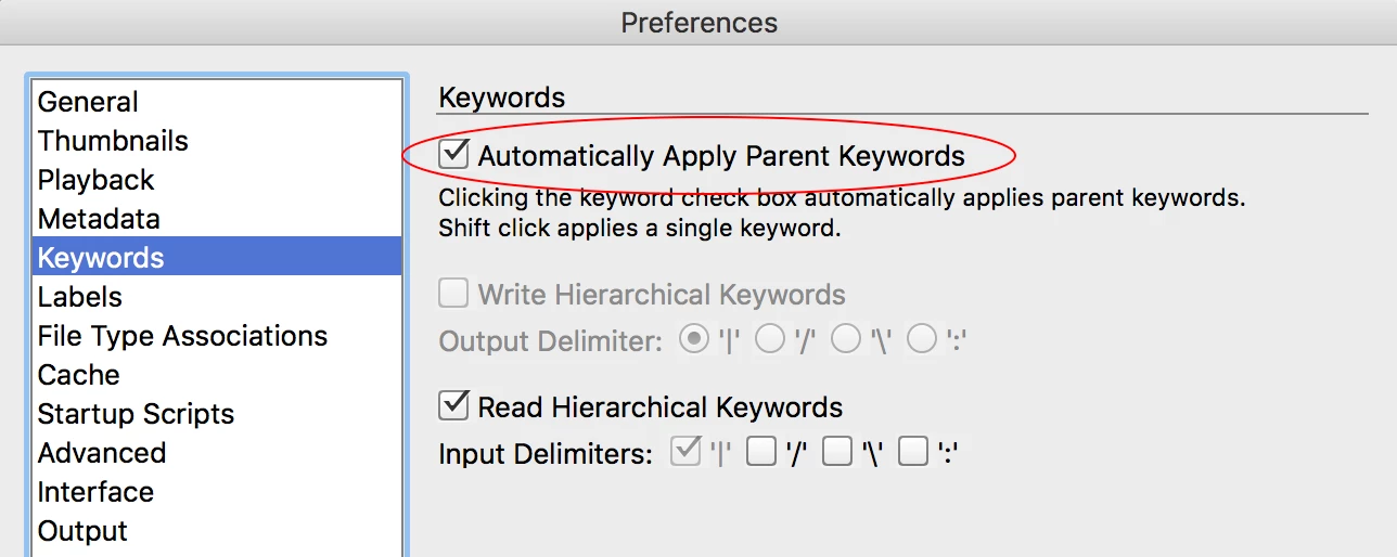 parent keyword - Image 4