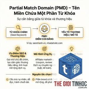 partial match domain là gì