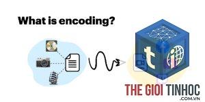 percent encoding là gì