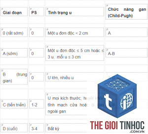 performance score là gì