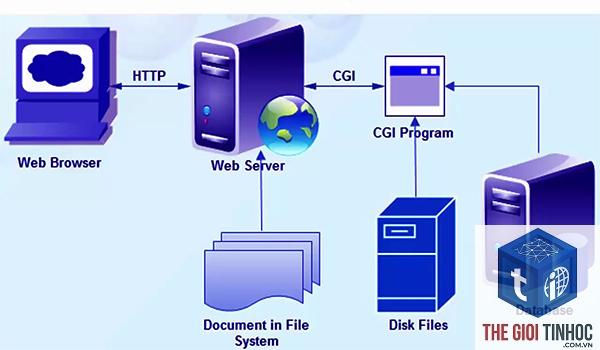 php fpm là gì