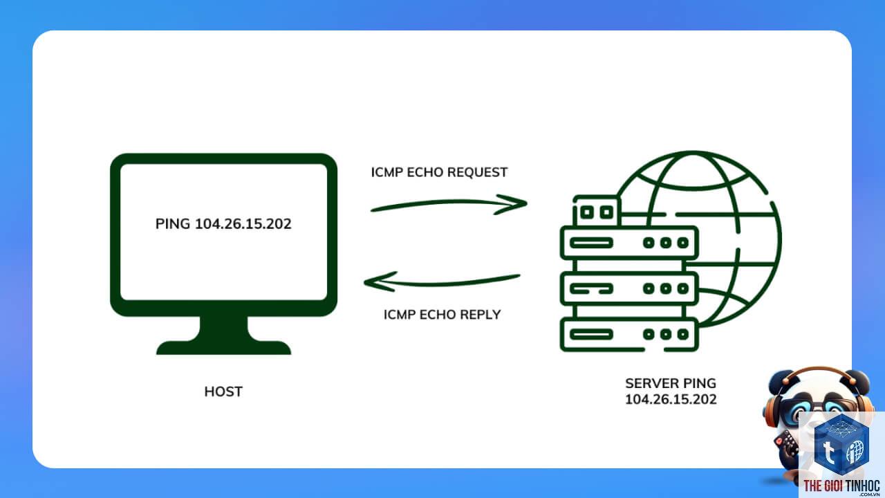 ping service là gì - Hình 5