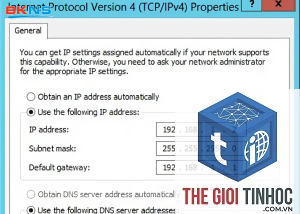preferred domain là gì