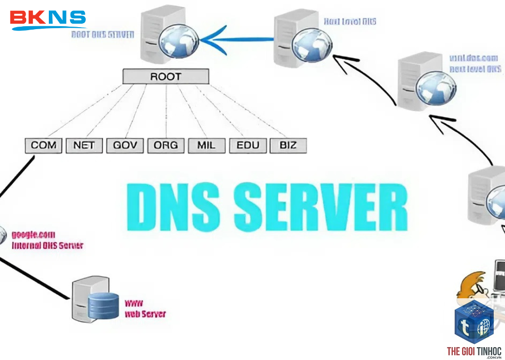 preferred domain là gì - Hình 5