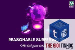 reasonable surfer là gì