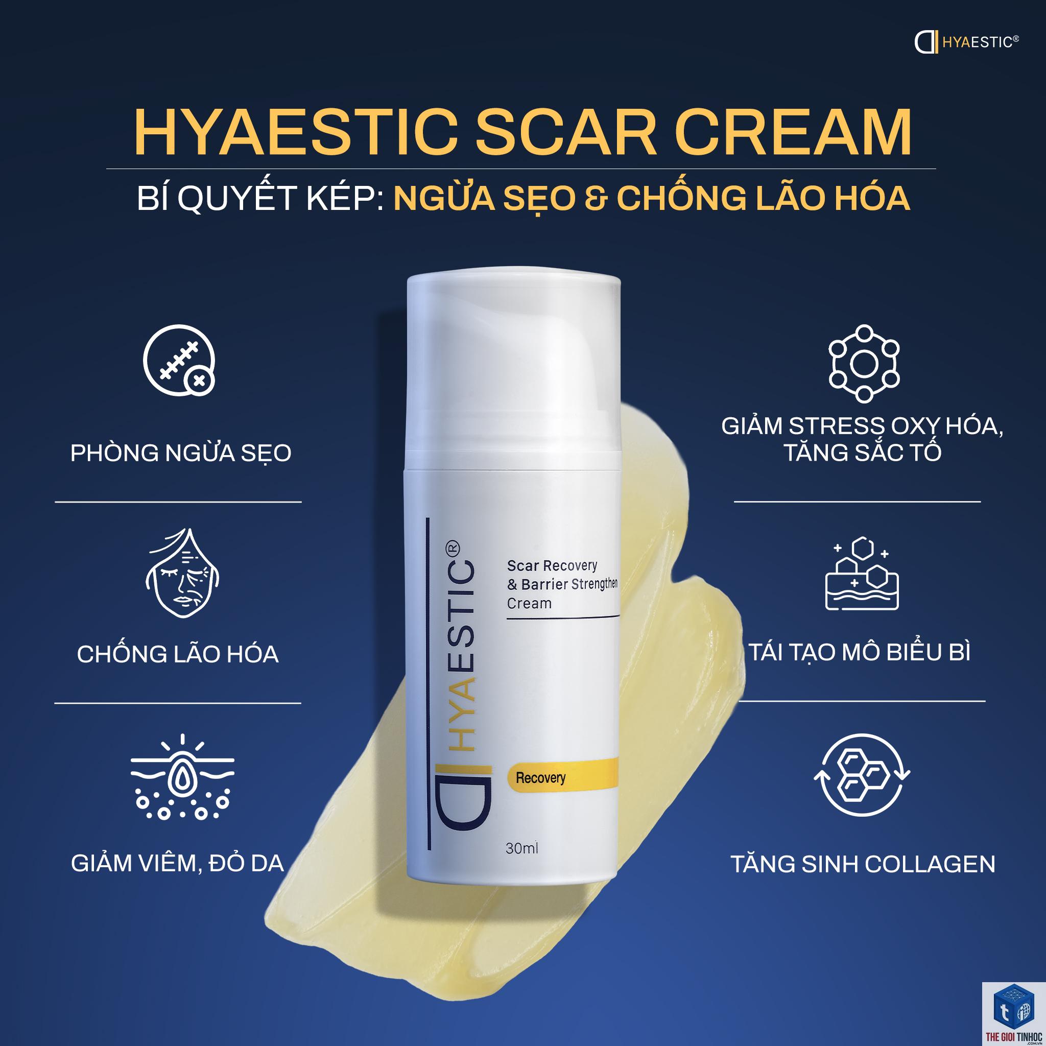 recovery seo là gì - Hình 2