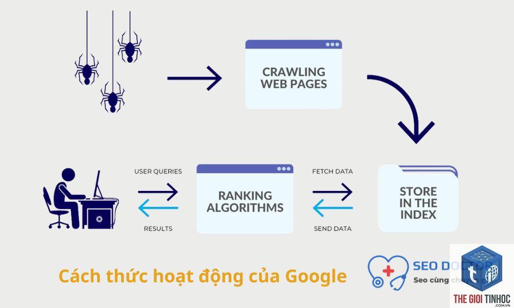 recovery seo là gì - Hình 5