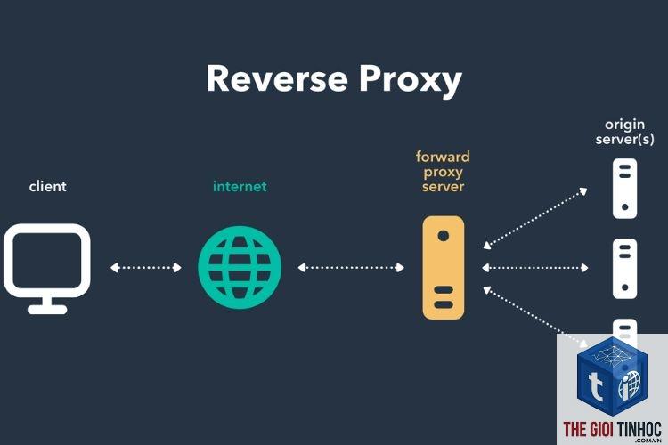 reverse proxy là gì - Hình 2