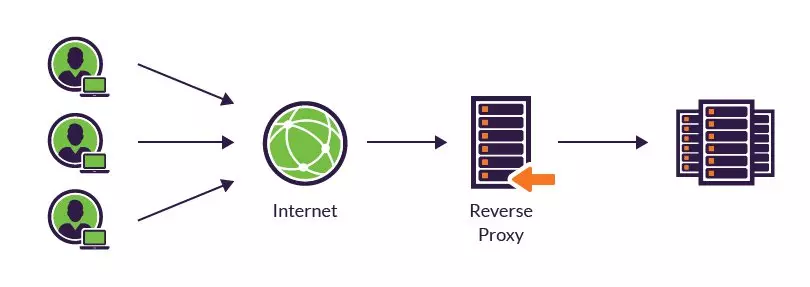 reverse proxy là gì - Hình 4