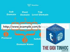 root domain là gì