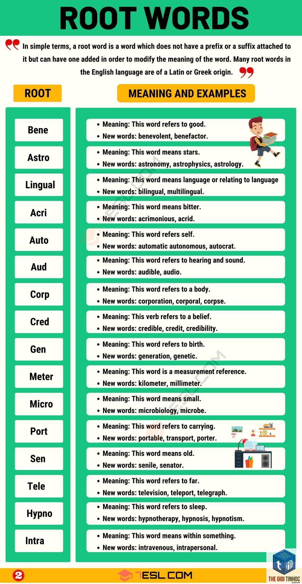 root keyword - Image 4