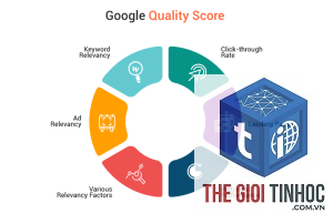 search quality là gì