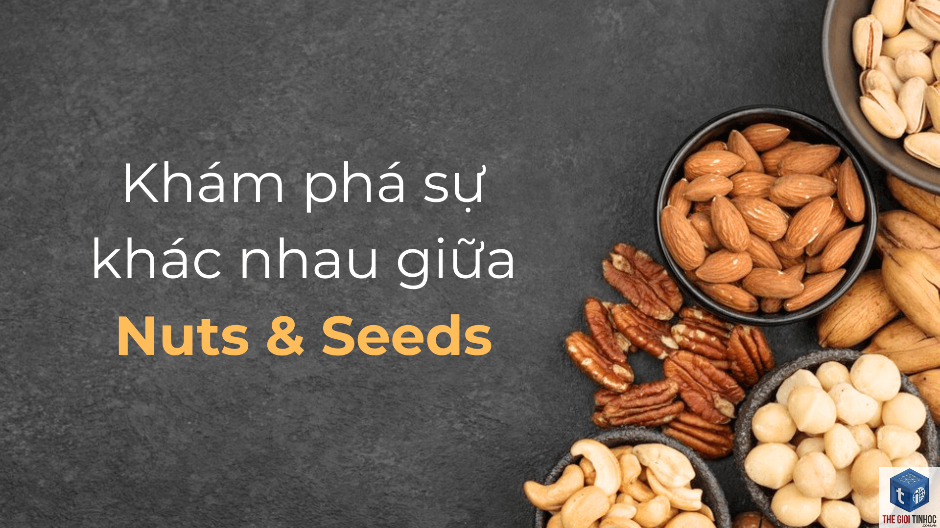 seed set là gì - Hình 1