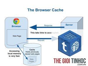 server cache là gì