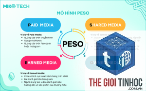 shareable content là gì