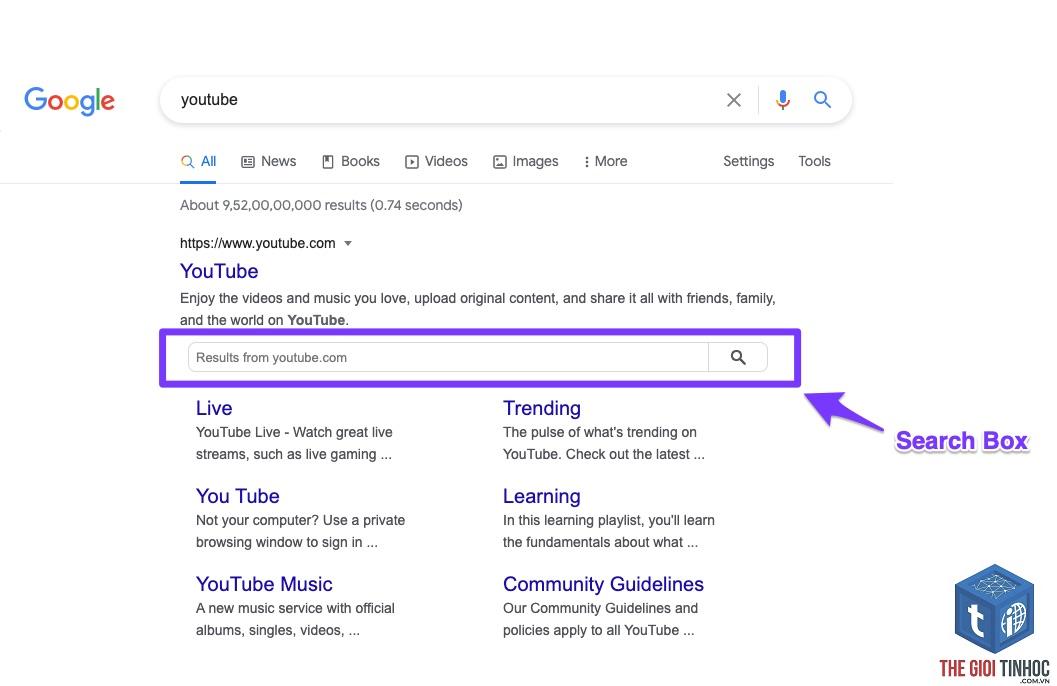 sitelinks search box schema là gì - Hình 1