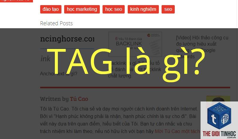tag page seo là gì - Hình 3