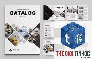 thiết kế catalogue