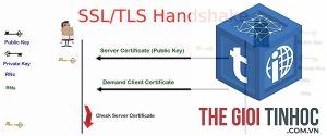 tls handshake là gì