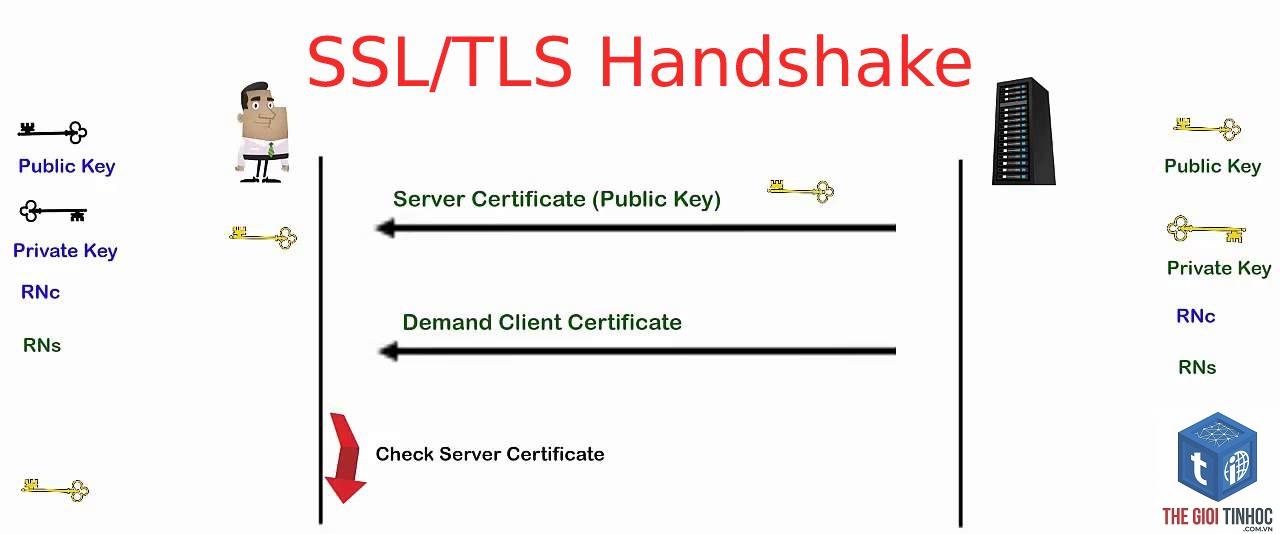 tls handshake là gì - Hình 1