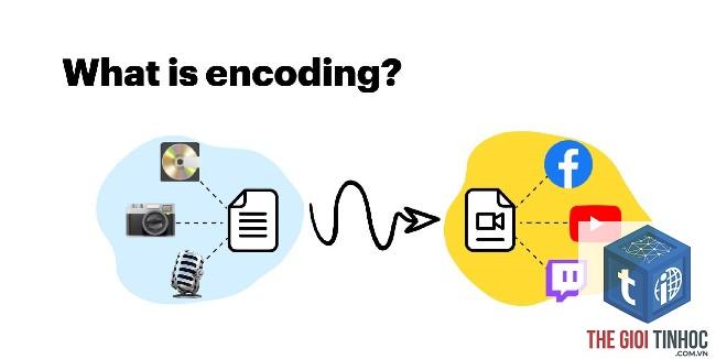 url encoding là gì - Hình 3