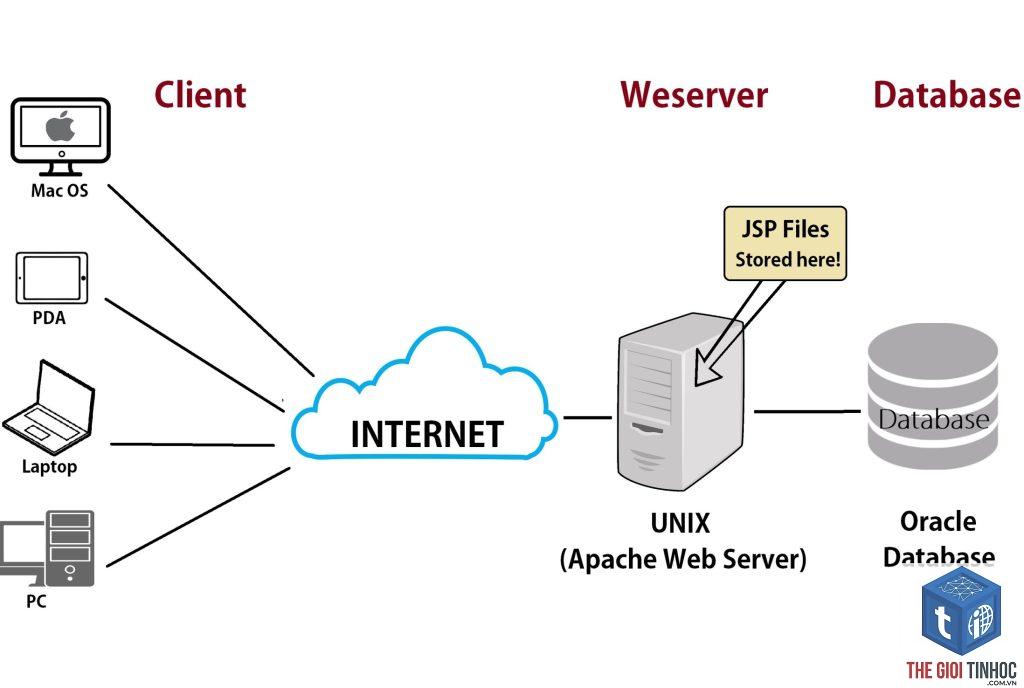 web server là gì