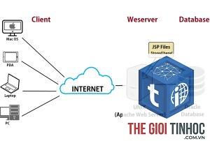 web server là gì