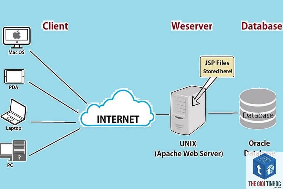 web server là gì - Hình 4