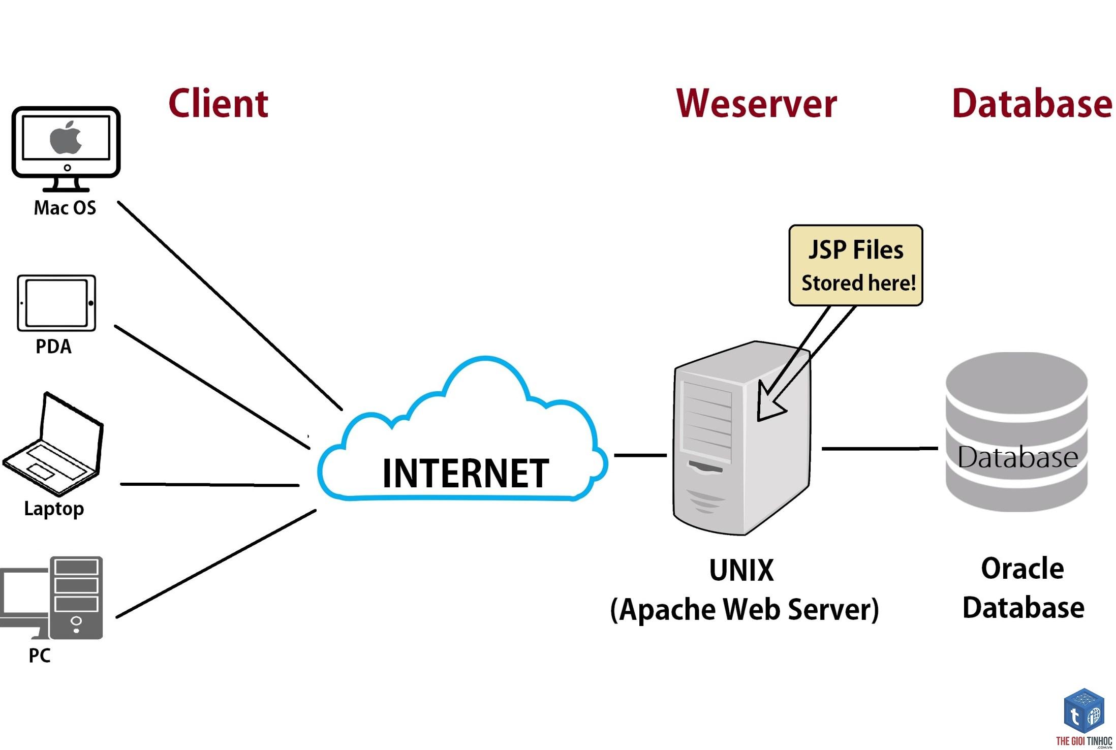 web server là gì - Hình 1