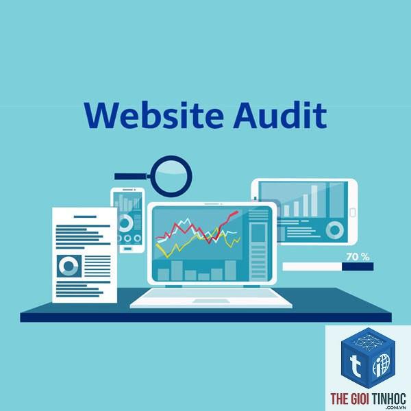 website audit là gì - Hình 1