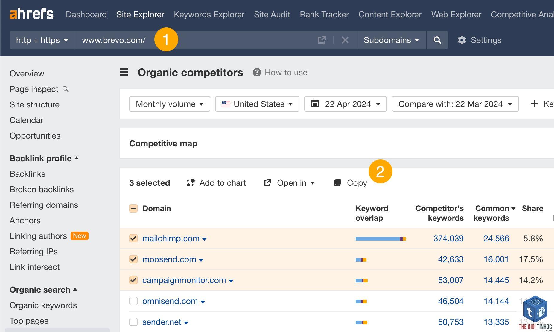 exclude keywords ahrefs - Image 4