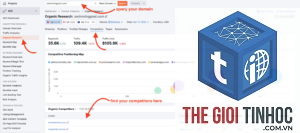 find keywords from competitor domains semrush