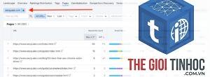 find keywords from top ranking pages semrush