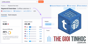 informational intent semrush