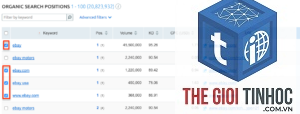 keyword export semrush