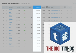 keyword volume vietnam semrush