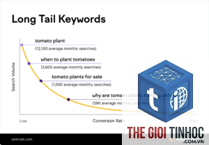 long tail keywords semrush
