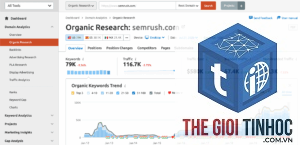 organic keywords report semrush