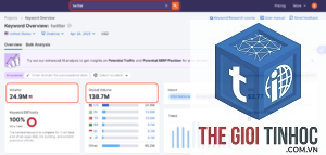 search volume semrush