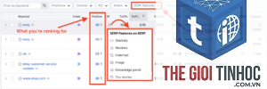 serp features semrush