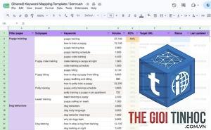 shared keywords semrush