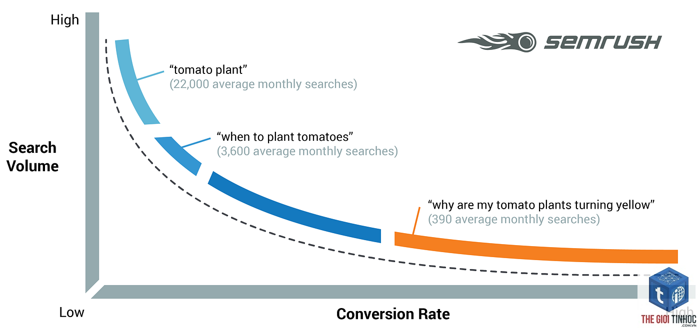 short tail keywords semrush - Image 5